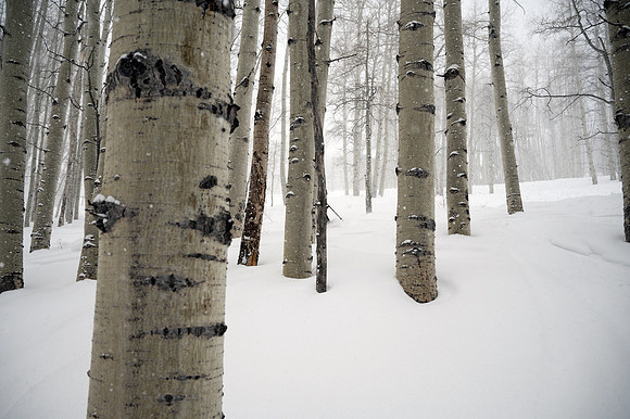 Beaver Creek Ski Resort