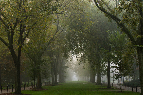Pattee Mall
