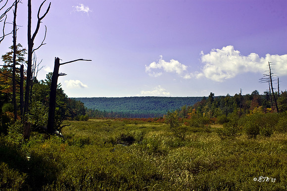 Tussey Mtn