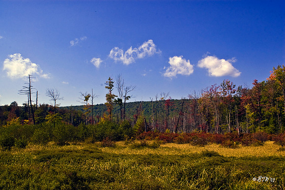 Tussey Mtn